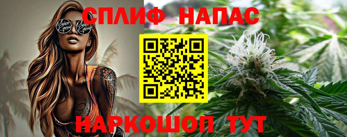 Вязьма  Конопля планчик  Вход с VPN  Бошки Шишки марихуана  Шишки марихуана Amnesia 